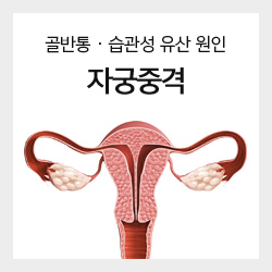 골반통 · 습관성 유산 원인 자궁중격